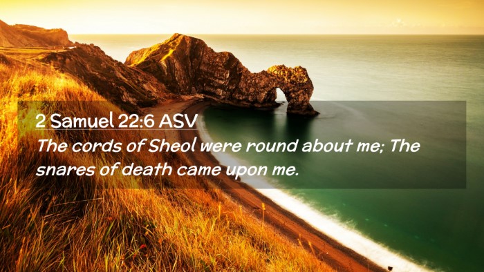 Picture 02 - 2 Samuel 22:6 ASV Desktop Wallpaper - The cords of Sheol were round about me; The - Desktop Bible Verse Wallpaper