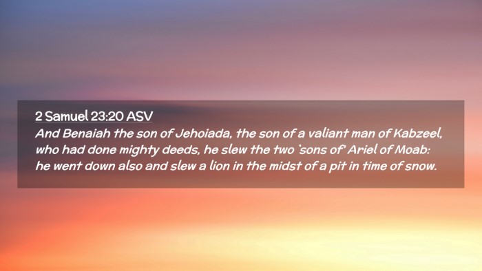 Picture 02 - 2 Samuel 23:20 ASV Desktop Wallpaper - And Benaiah the son of Jehoiada, the son of a - Desktop Bible Verse Wallpaper