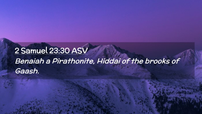 Picture 02 - 2 Samuel 23:30 ASV Desktop Wallpaper - Benaiah a Pirathonite, Hiddai of the brooks of - Desktop Bible Verse Wallpaper
