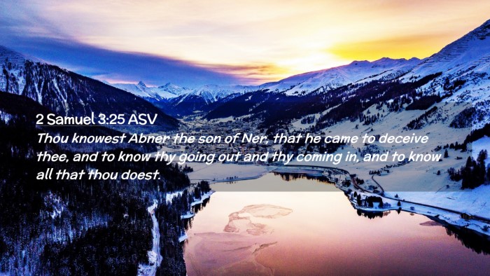 Picture 02 - 2 Samuel 3:25 ASV Desktop Wallpaper - Thou knowest Abner the son of Ner, that he came - Desktop Bible Verse Wallpaper