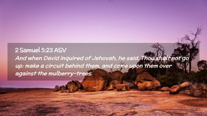 Picture 02 - 2 Samuel 5:23 ASV Desktop Wallpaper - And when David inquired of Jehovah, he said, Thou - Desktop Bible Verse Wallpaper