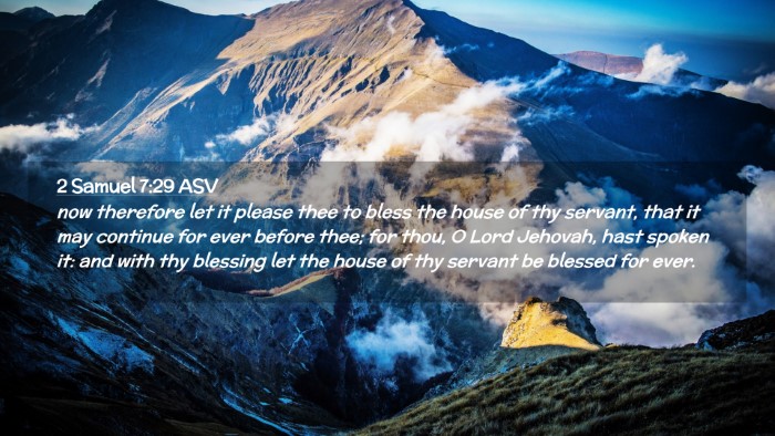 Picture 02 - 2 Samuel 7:29 ASV Desktop Wallpaper - now therefore let it please thee to bless the - Desktop Bible Verse Wallpaper