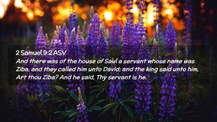 Picture 02 - 2 Samuel 9:2 ASV Desktop Wallpaper - And there was of the house of Saul a servant - Desktop Bible Verse Wallpaper