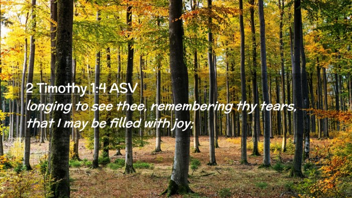Picture 02 - 2 Timothy 1:4 ASV Desktop Wallpaper - longing to see thee, remembering thy tears, that - Desktop Bible Verse Wallpaper