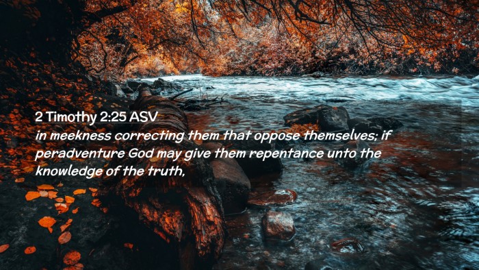Picture 02 - 2 Timothy 2:25 ASV Desktop Wallpaper - in meekness correcting them that oppose - Desktop Bible Verse Wallpaper