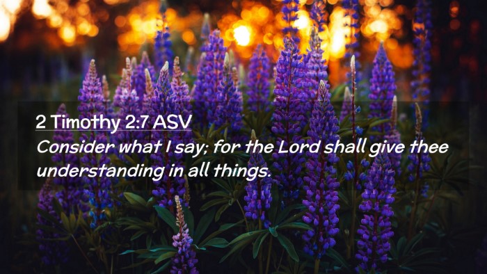 Picture 02 - 2 Timothy 2:7 ASV Desktop Wallpaper - Consider what I say; for the Lord shall give thee - Desktop Bible Verse Wallpaper