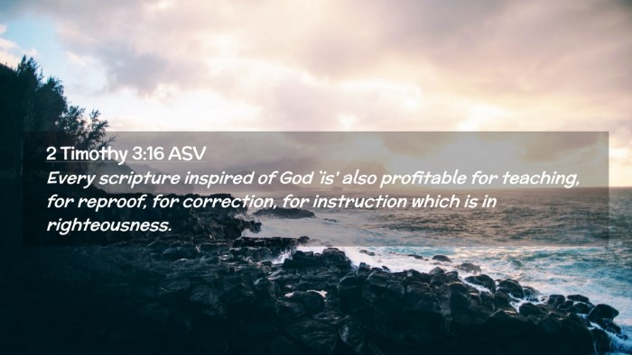 Picture 02 - 2 Timothy 3:16 ASV Desktop Wallpaper - Every scripture inspired of God `is' also - Desktop Bible Verse Wallpaper