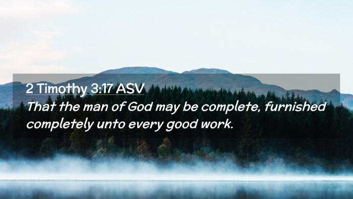Picture 02 - 2 Timothy 3:17 ASV Desktop Wallpaper - That the man of God may be complete, furnished - Desktop Bible Verse Wallpaper
