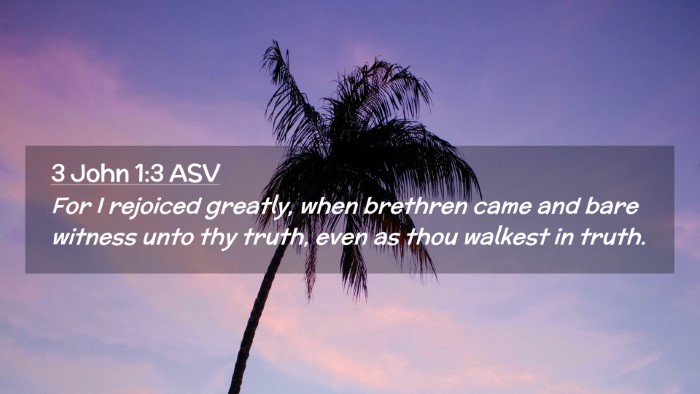 Picture 02 - 3 John 1:3 ASV Desktop Wallpaper - For I rejoiced greatly, when brethren came and - Desktop Bible Verse Wallpaper