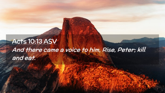 Picture 02 - Acts 10:13 ASV Desktop Wallpaper - And there came a voice to him, Rise, Peter; kill - Desktop Bible Verse Wallpaper