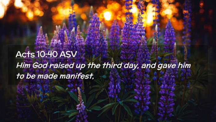 Picture 02 - Acts 10:40 ASV Desktop Wallpaper - Him God raised up the third day, and gave him to - Desktop Bible Verse Wallpaper