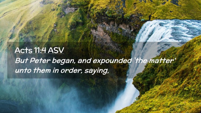 Picture 02 - Acts 11:4 ASV Desktop Wallpaper - But Peter began, and expounded `the matter' unto - Desktop Bible Verse Wallpaper