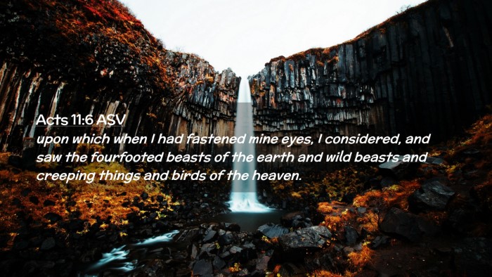 Picture 02 - Acts 11:6 ASV Desktop Wallpaper - upon which when I had fastened mine eyes, I - Desktop Bible Verse Wallpaper
