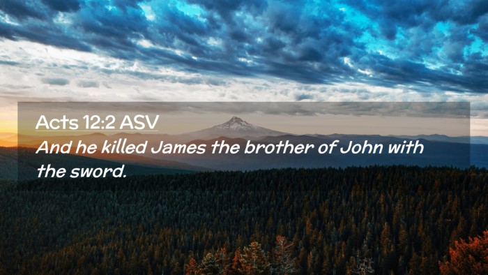 Picture 02 - Acts 12:2 ASV Desktop Wallpaper - And he killed James the brother of John with the - Desktop Bible Verse Wallpaper