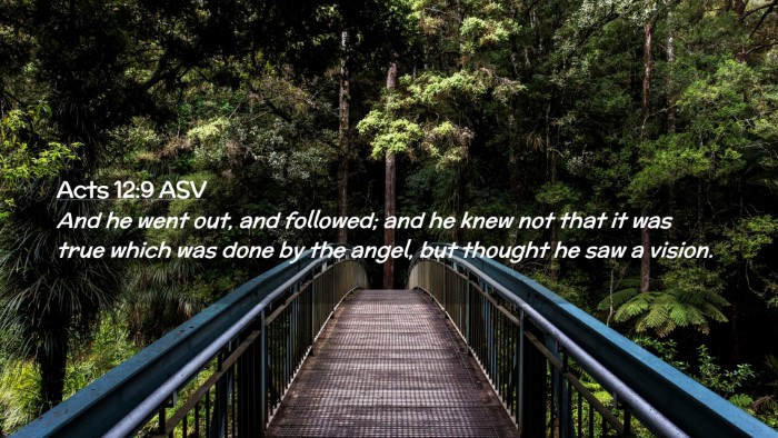 Picture 02 - Acts 12:9 ASV Desktop Wallpaper - And he went out, and followed; and he knew not - Desktop Bible Verse Wallpaper