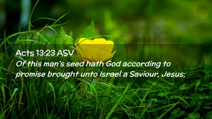 Picture 02 - Acts 13:23 ASV Desktop Wallpaper - Of this man's seed hath God according to promise - Desktop Bible Verse Wallpaper