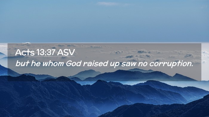Picture 02 - Acts 13:37 ASV Desktop Wallpaper - but he whom God raised up saw no - Desktop Bible Verse Wallpaper