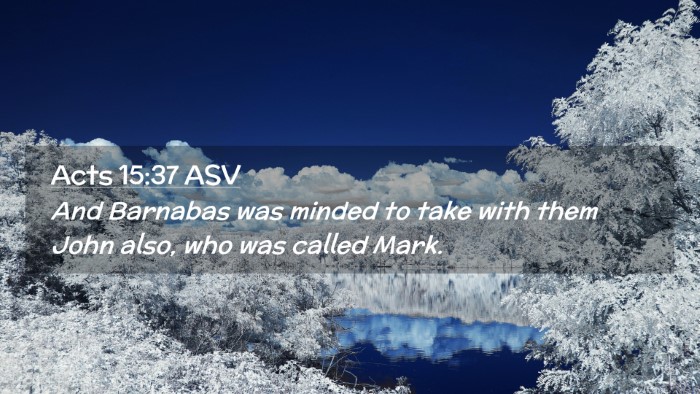 Picture 02 - Acts 15:37 ASV Desktop Wallpaper - And Barnabas was minded to take with them John - Desktop Bible Verse Wallpaper