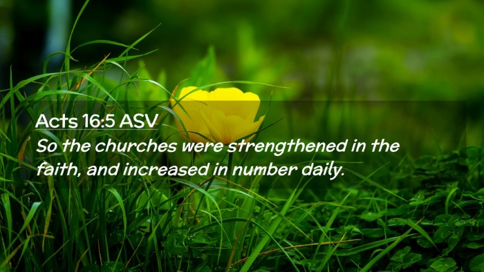 Picture 02 - Acts 16:5 ASV Desktop Wallpaper - So the churches were strengthened in the faith, - Desktop Bible Verse Wallpaper
