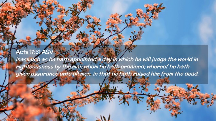 Picture 02 - Acts 17:31 ASV Desktop Wallpaper - inasmuch as he hath appointed a day in which he - Desktop Bible Verse Wallpaper