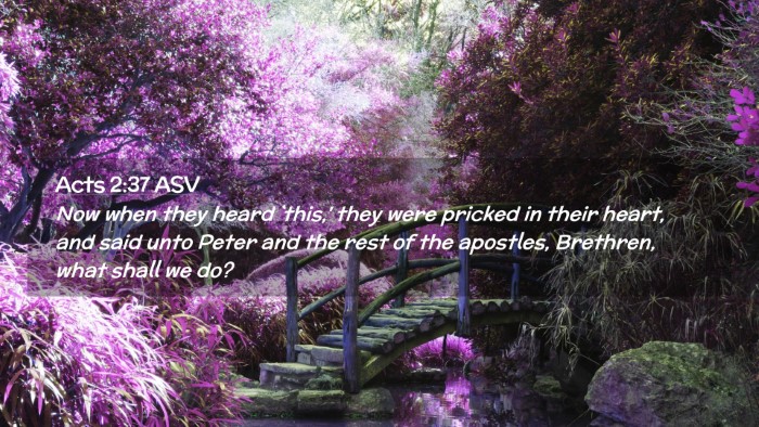 Picture 02 - Acts 2:37 ASV Desktop Wallpaper - Now when they heard `this,' they were pricked in - Desktop Bible Verse Wallpaper