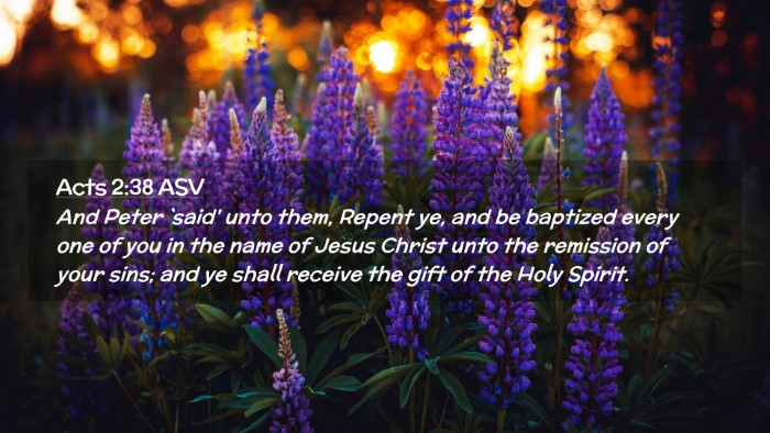 Picture 02 - Acts 2:38 ASV Desktop Wallpaper - And Peter `said' unto them, Repent ye, and be - Desktop Bible Verse Wallpaper