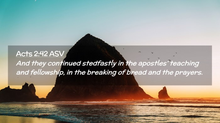 Picture 02 - Acts 2:42 ASV Desktop Wallpaper - And they continued stedfastly in the apostles' - Desktop Bible Verse Wallpaper