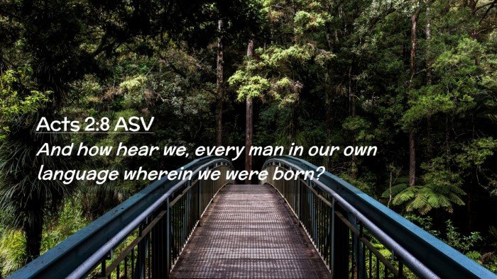 Picture 02 - Acts 2:8 ASV Desktop Wallpaper - And how hear we, every man in our own language - Desktop Bible Verse Wallpaper
