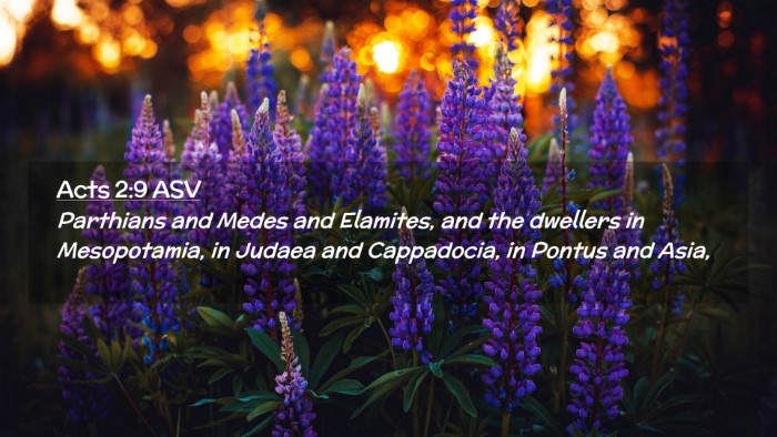 Picture 02 - Acts 2:9 ASV Desktop Wallpaper - Parthians and Medes and Elamites, and the - Desktop Bible Verse Wallpaper
