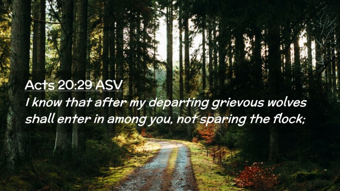 Picture 02 - Acts 20:29 ASV Desktop Wallpaper - I know that after my departing grievous wolves - Desktop Bible Verse Wallpaper