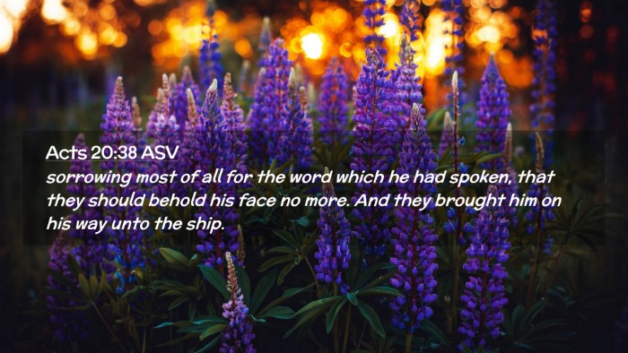 Picture 02 - Acts 20:38 ASV Desktop Wallpaper - sorrowing most of all for the word which he had - Desktop Bible Verse Wallpaper