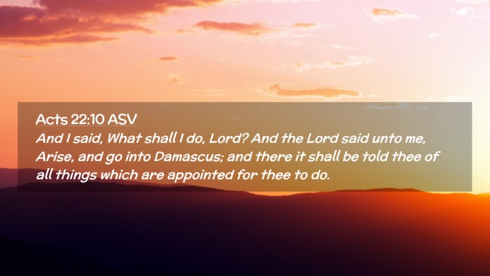 Picture 02 - Acts 22:10 ASV Desktop Wallpaper - And I said, What shall I do, Lord? And the Lord - Desktop Bible Verse Wallpaper