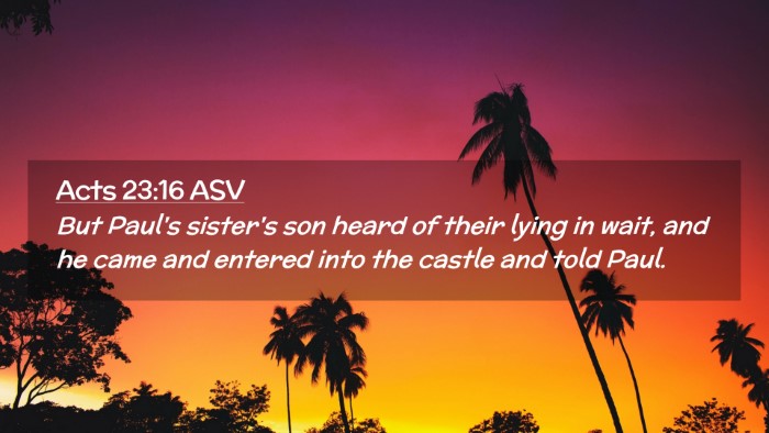 Picture 02 - Acts 23:16 ASV Desktop Wallpaper - But Paul's sister's son heard of their lying in - Desktop Bible Verse Wallpaper
