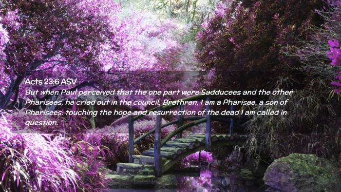 Picture 02 - Acts 23:6 ASV Desktop Wallpaper - But when Paul perceived that the one part were - Desktop Bible Verse Wallpaper