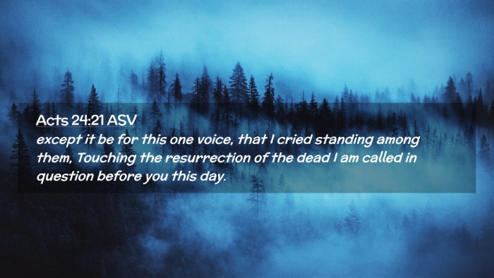 Picture 02 - Acts 24:21 ASV Desktop Wallpaper - except it be for this one voice, that I cried - Desktop Bible Verse Wallpaper