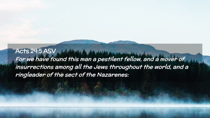 Picture 02 - Acts 24:5 ASV Desktop Wallpaper - For we have found this man a pestilent fellow, - Desktop Bible Verse Wallpaper