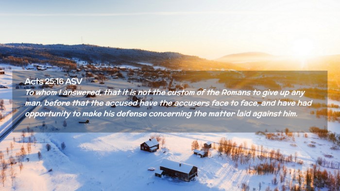 Picture 02 - Acts 25:16 ASV Desktop Wallpaper - To whom I answered, that it is not the custom of - Desktop Bible Verse Wallpaper