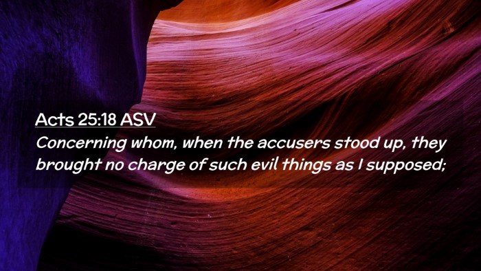 Picture 02 - Acts 25:18 ASV Desktop Wallpaper - Concerning whom, when the accusers stood up, they - Desktop Bible Verse Wallpaper