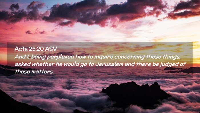 Picture 02 - Acts 25:20 ASV Desktop Wallpaper - And I, being perplexed how to inquire concerning - Desktop Bible Verse Wallpaper