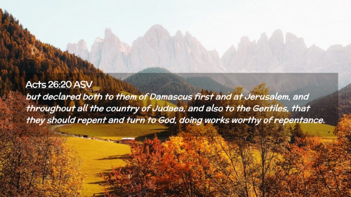 Picture 02 - Acts 26:20 ASV Desktop Wallpaper - but declared both to them of Damascus first and - Desktop Bible Verse Wallpaper