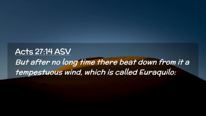 Picture 02 - Acts 27:14 ASV Desktop Wallpaper - But after no long time there beat down from it a - Desktop Bible Verse Wallpaper