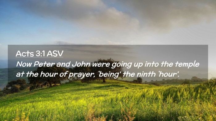 Picture 02 - Acts 3:1 ASV Desktop Wallpaper - Now Peter and John were going up into the temple - Desktop Bible Verse Wallpaper