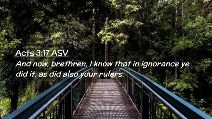 Picture 02 - Acts 3:17 ASV Desktop Wallpaper - And now, brethren, I know that in ignorance ye - Desktop Bible Verse Wallpaper
