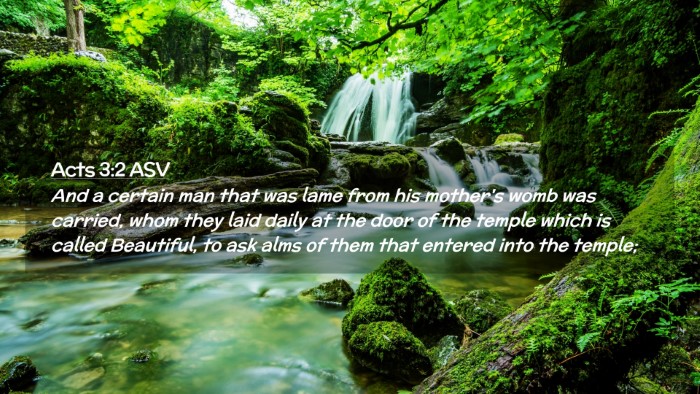 Picture 02 - Acts 3:2 ASV Desktop Wallpaper - And a certain man that was lame from his mother's - Desktop Bible Verse Wallpaper