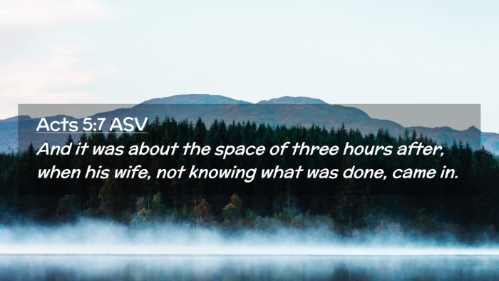 Picture 02 - Acts 5:7 ASV Desktop Wallpaper - And it was about the space of three hours after, - Desktop Bible Verse Wallpaper