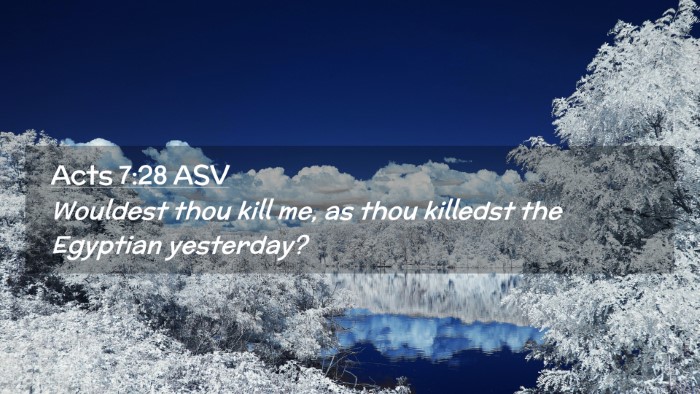 Picture 02 - Acts 7:28 ASV Desktop Wallpaper - Wouldest thou kill me, as thou killedst the - Desktop Bible Verse Wallpaper