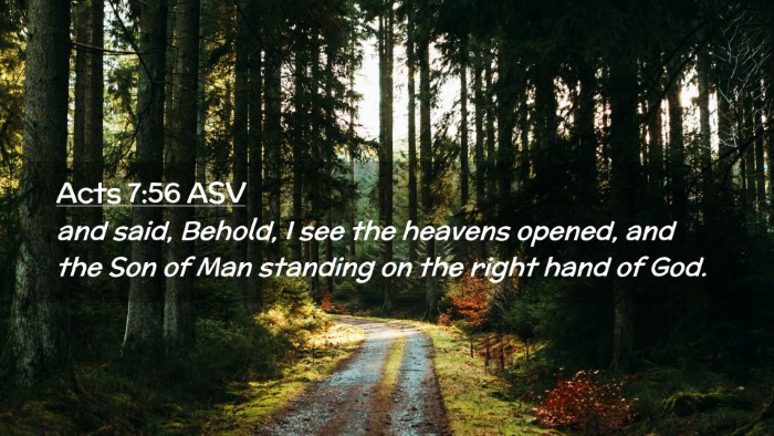 Picture 02 - Acts 7:56 ASV Desktop Wallpaper - and said, Behold, I see the heavens opened, and - Desktop Bible Verse Wallpaper