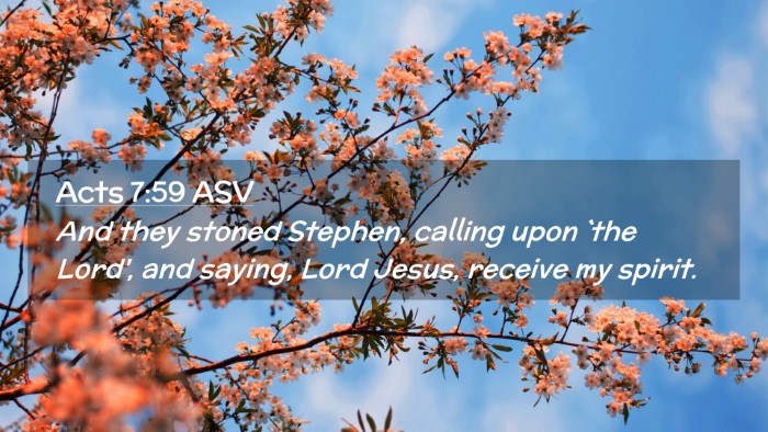 Picture 02 - Acts 7:59 ASV Desktop Wallpaper - And they stoned Stephen, calling upon `the Lord', - Desktop Bible Verse Wallpaper