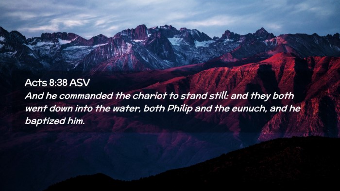 Picture 02 - Acts 8:38 ASV Desktop Wallpaper - And he commanded the chariot to stand still: and - Desktop Bible Verse Wallpaper
