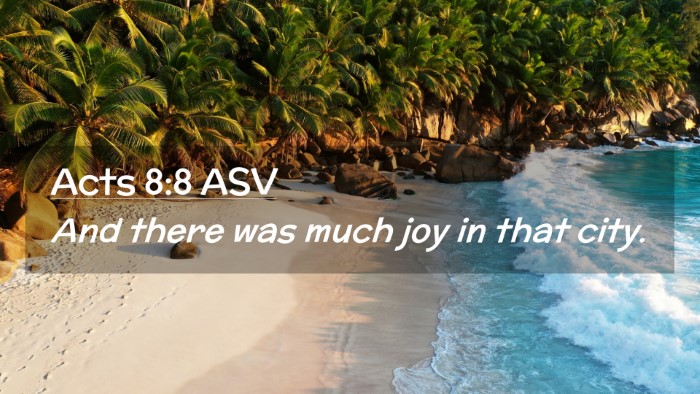 Picture 02 - Acts 8:8 ASV Desktop Wallpaper - And there was much joy in that - Desktop Bible Verse Wallpaper